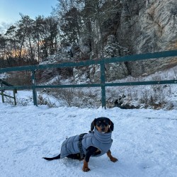 Hundeschule Vogt - Abby