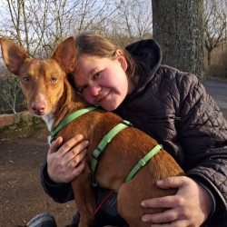 Hundeschule Vogt - Manolito