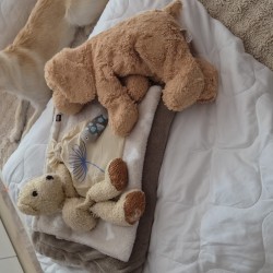 Hundeschule Vogt - Nala