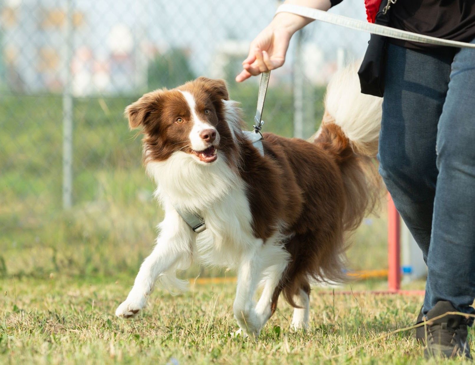 Foto Workshop Rally Obedience – Just for Fun