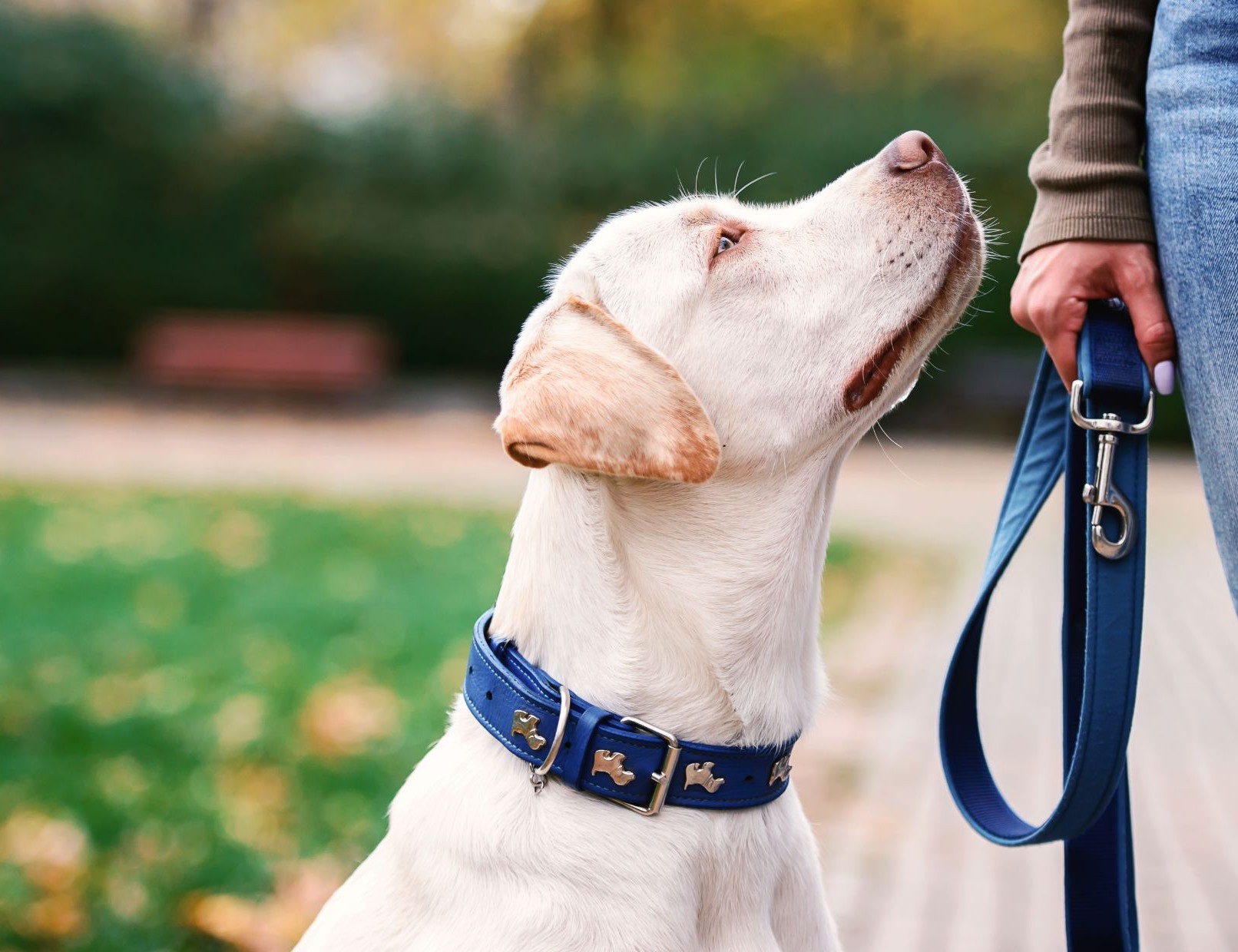 Foto Intensivtraining Orientierung am Menschen