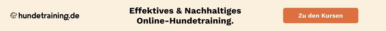 Banner Hundetraining
